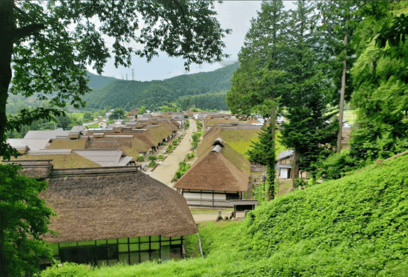 Sankeien Garden: Private Walking Tour With Local Expert … - Key Points