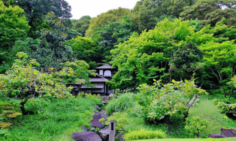 Sankeien Garden: Private Walking Tour With Local Expert … - Experience and Highlights