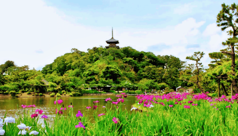 Sankeien Garden: Private Walking Tour With Local Expert … - What to Bring and Important Information