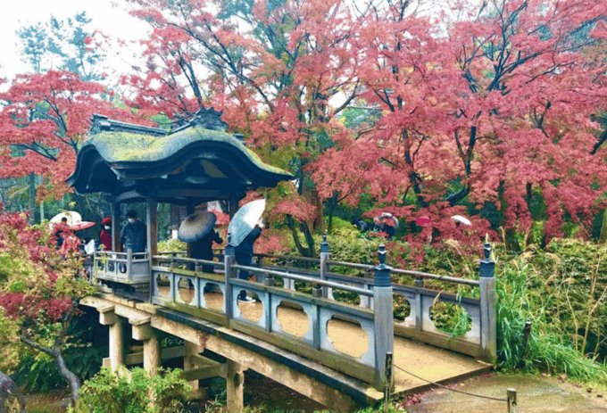 Sankeien Garden: Private Walking Tour With Local Expert … - Discover the Seasonal Landscapes of Sankeien Garden