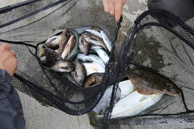Sanriku Geopark Fishing Industry Field Trip - Hands-on Activities in the Fishing Industry