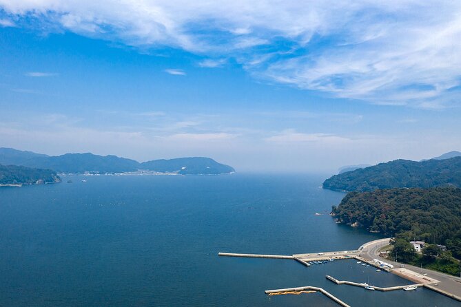 Sanriku Geopark Fishing Industry Field Trip - Cultural Immersion and Culinary Experiences