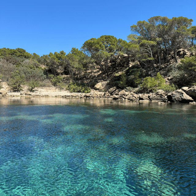 Sant Elm: Visit Dragonera Island by Boat - Booking Information