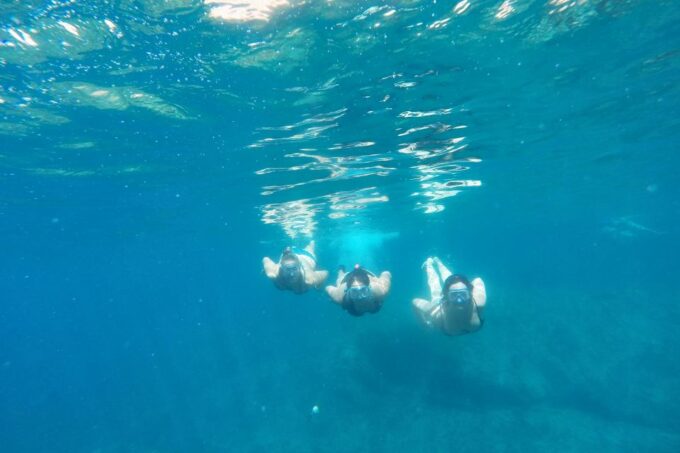 Sant Feliu De Guíxols: Kayaking & Snorkeling Tour - Tour Logistics