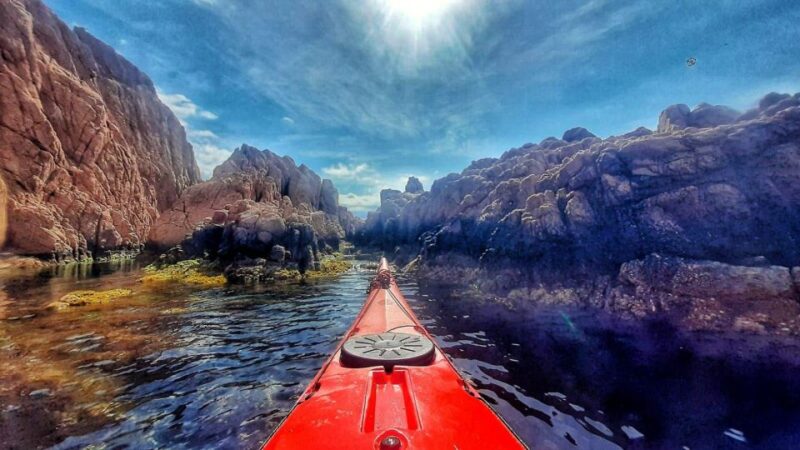 Sant Feliu De Guíxols: Morning Sea Kayak Tour - Key Points