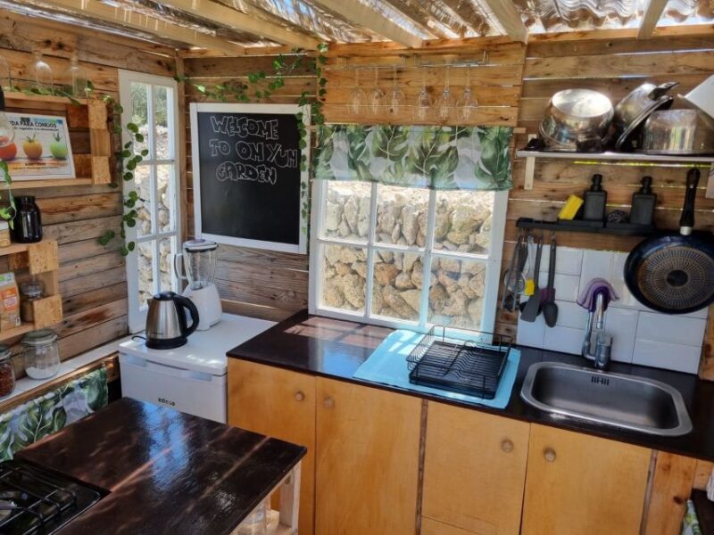 Sant Lluís: Private Vegetarian Cooking Lesson - Inclusions