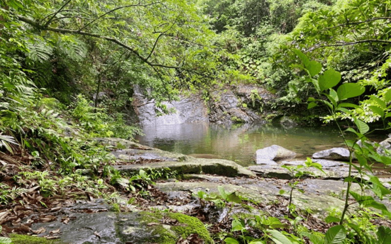 SANTA ANA ECO ADVENTURE TOUR (Private) - Key Points