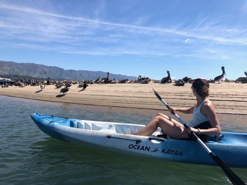 Santa Barbara: 1.5-Hour Harbor Kayak Tour - Tour Overview