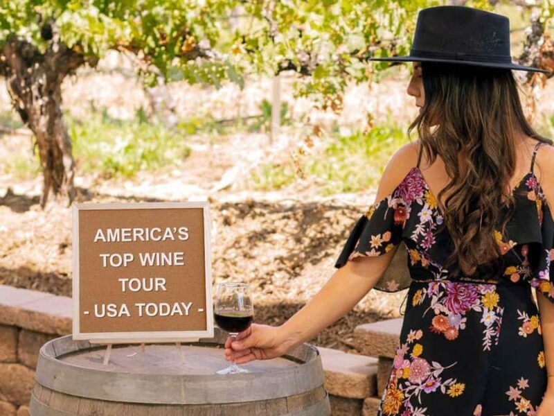 Santa Barbara 3-Winery Tour with Picnic Lunch & Tastings - Who Should Consider This Tour?