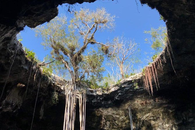 Santa Bárbara Cenotes Tour - Transportation and Accessibility