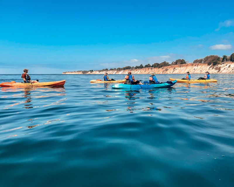 Santa Barbara: Coastline Kayak Tour With Knowledgeable Guide - Key Points