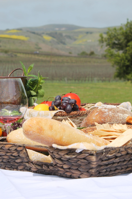 Santa Barbara: E-Bike Wine Country Tour W/ Tastings & Lunch - Highlights of the Experience