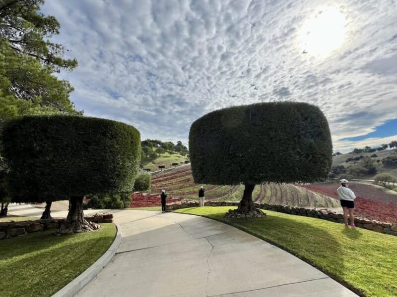Santa Barbara: E-Bike Wine Country Tour W/ Tastings & Lunch - Olive Oil and Balsamic Tastings