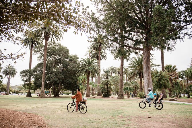 Santa Barbara Electric Bike Rentals - Customer Feedback and Experiences