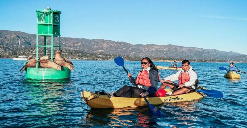 Santa Barbara: Guided Kayak Wildlife Tour - Key Points