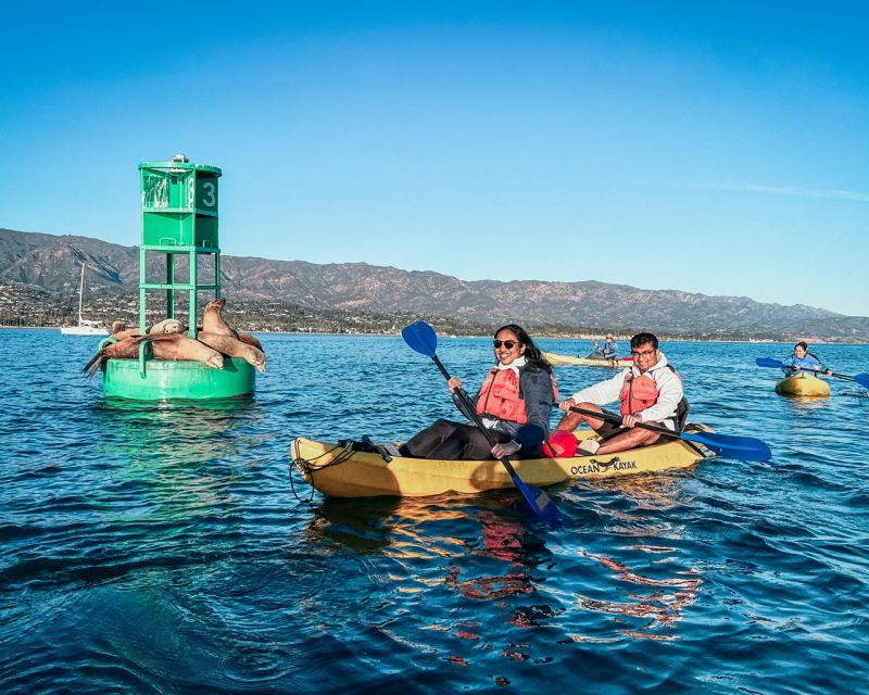 Santa Barbara: Guided Kayak Wildlife Tour - Experience Highlights