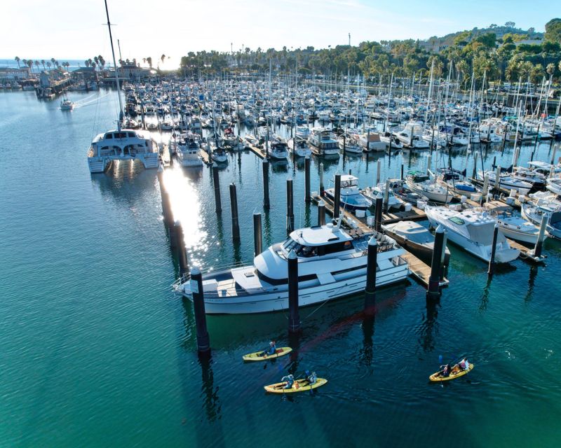 Santa Barbara: Guided Kayak Wildlife Tour - Tour Details