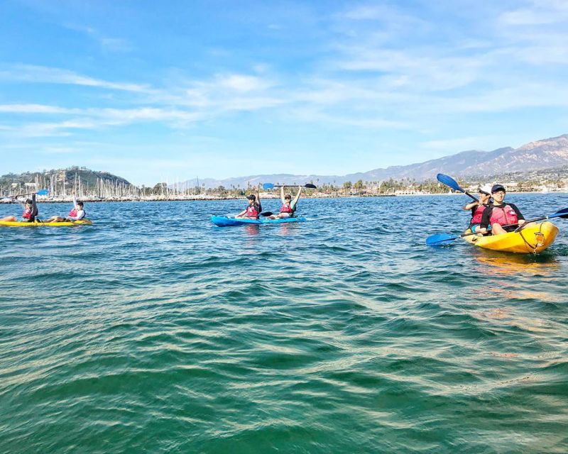 Santa Barbara: Guided Kayak Wildlife Tour - Customer Feedback and Ratings