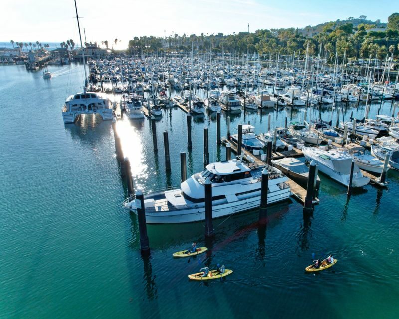 Santa Barbara Harbor: Wildlife Kayak Tour (2 Hours) - Key Points