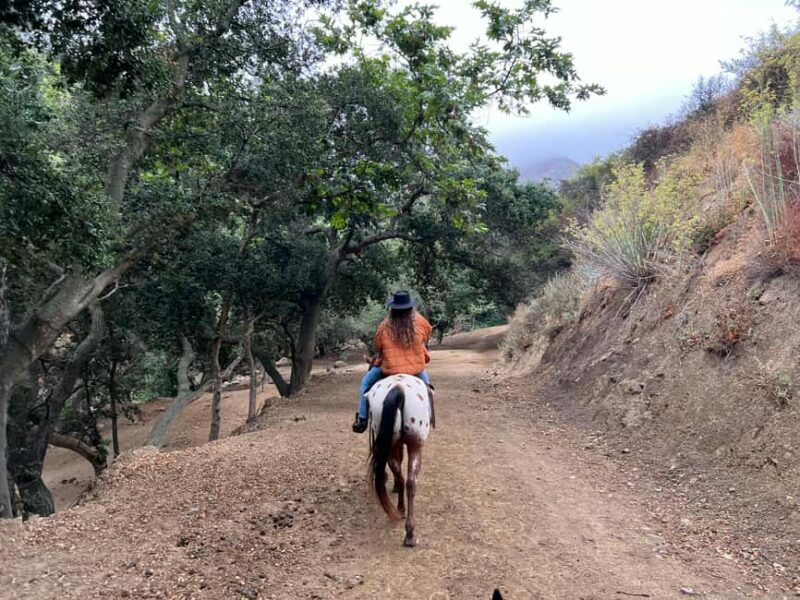 Santa Barbara: Horseback Riding and Wine Tasting Tour - An In-Depth Look at the Experience