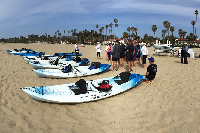 Santa Barbara Kayak or Stand Up Paddle Rental - Reviews