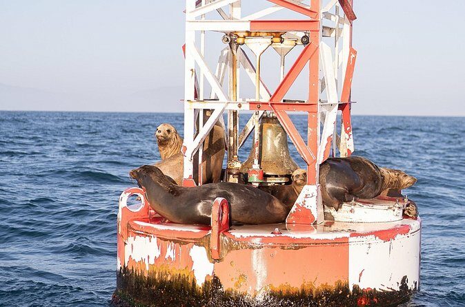Santa Barbara Narrated Coastal Yacht Experience - Weather and Cancellation Policy