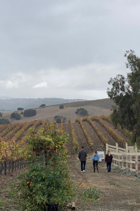Santa Barbara: Private Guided Wine Tour With Lunch - Frequently Asked Questions