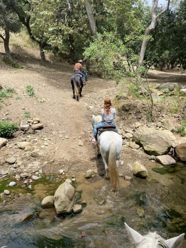 Santa Barbara: Scenic Canyon Horseback Riding Tour - Guides and Safety