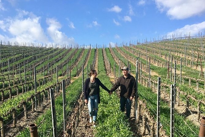 Santa Barbara Small-Group Wine Tour to Private Estates & Wineries - Highly Recommended Reviews