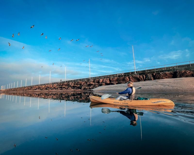 Santa Barbara: Sunset Kayak Tour - Paddling Lesson and Safety