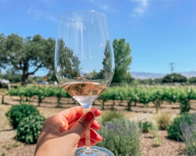 Santa Barbara: Wine Country Tour - Customer Reviews Summary