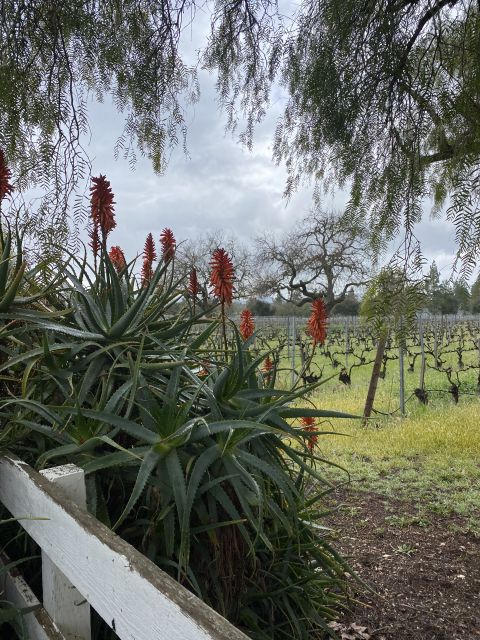 Santa Barbara: Wine Country Tour With Lunch - Liability Agreement and Age Requirement