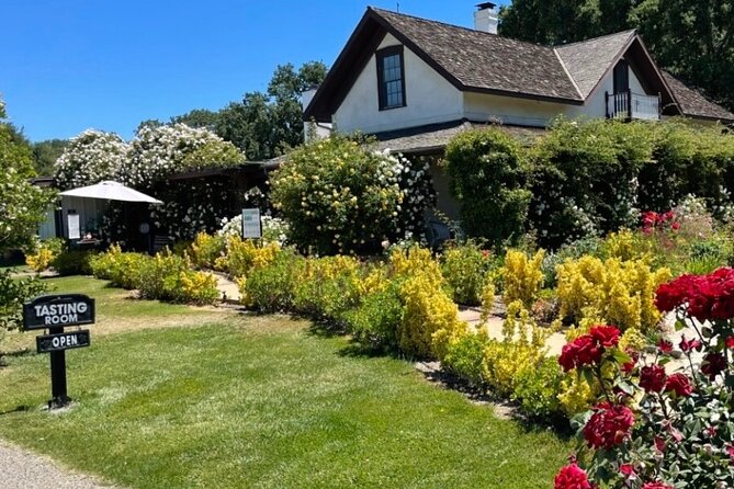 Santa Barbara Wine Country Vineyard & Village Tour - Customer Experiences and Feedback