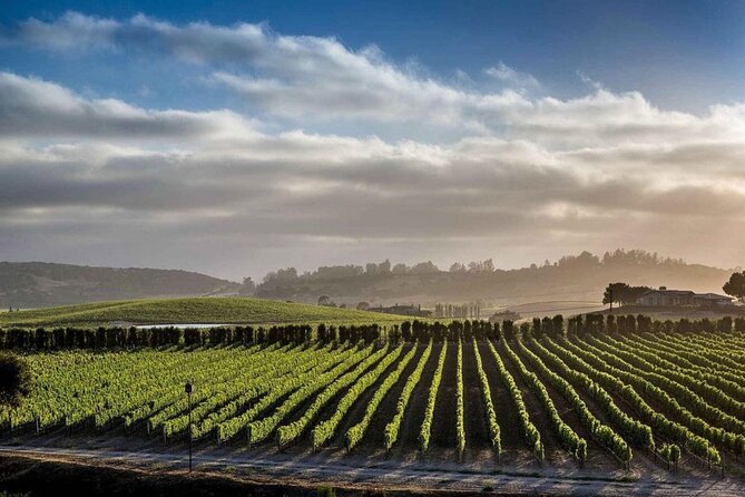 Santa Barbara Wine Country Vineyard & Village Tour - Santa Ynez: Picturesque Countryside and Wineries