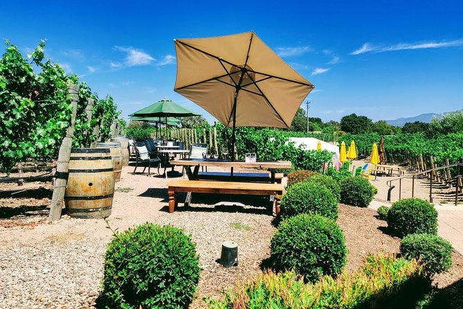 Santa Barbara Wine Tasting Day Tour From Los Angeles - Tour Overview