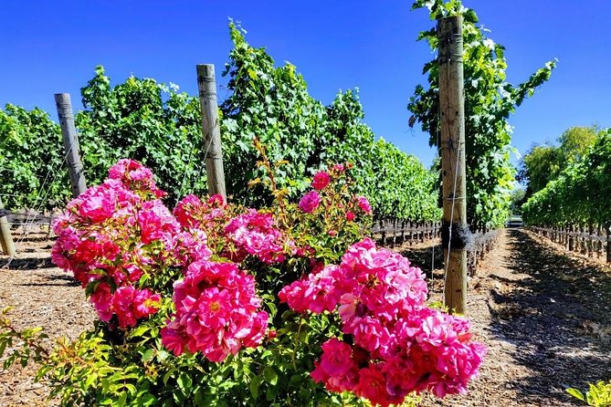 Santa Barbara Wine Tasting Day Tour From Los Angeles - Customer Experiences