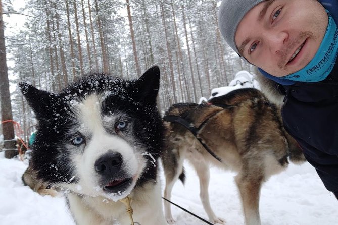 Santa Claus Village Guided Tour & Arctic Animals Adventure - Animal Encounters