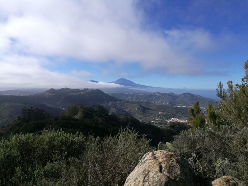 Santa Cruz De Tenerife: 2-Hour Hiking Tour in Anaga Forest - Pricing and Booking