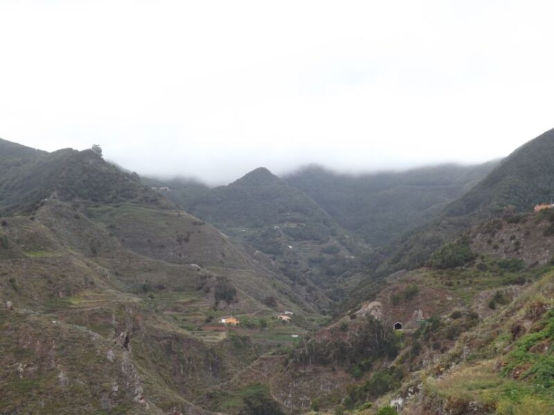 Santa Cruz De Tenerife: 2-Hour Hiking Tour in Anaga Forest - Highlights and Experience