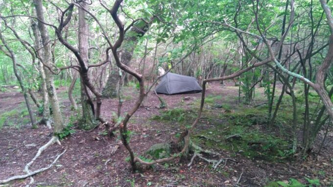 Santa Cruz De Tenerife: 2-Hour Hiking Tour in Anaga Forest - Frequently Asked Questions