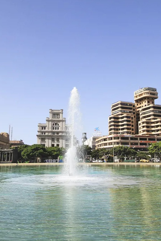 Santa Cruz De Tenerife at Your Leisure - Experience Highlights