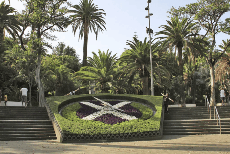 Santa Cruz De Tenerife at Your Leisure - Participant Information