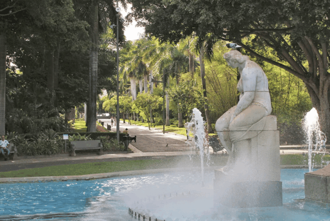 Santa Cruz De Tenerife at Your Leisure - Iconic Sites and Shopping