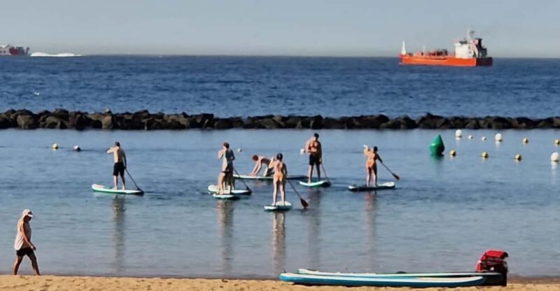 Santa Cruz De Tenerife: Las Teresitas Stand Up Paddle Course - Key Points