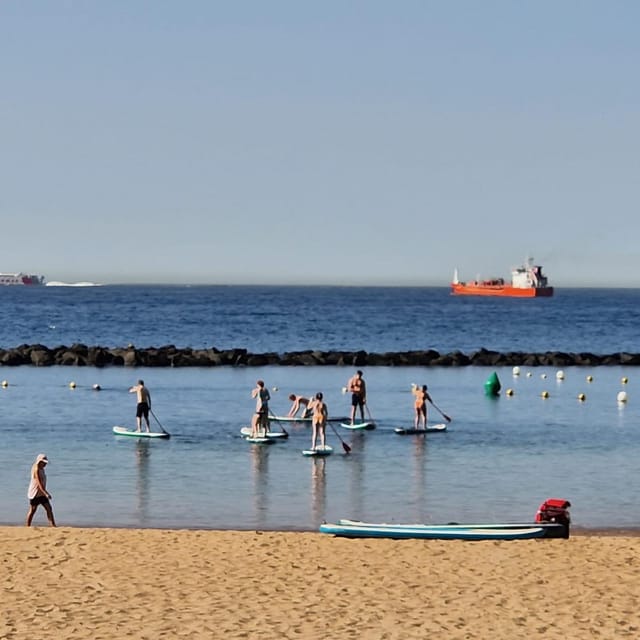 Santa Cruz De Tenerife: Las Teresitas Stand Up Paddle Course - Activity Details
