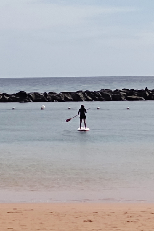 Santa Cruz De Tenerife: Las Teresitas Stand Up Paddle Course - Customer Reviews