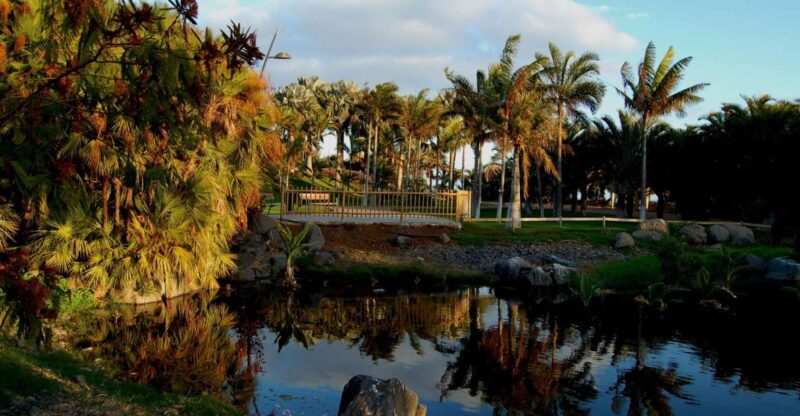 Santa Cruz De Tenerife: Palmetum Entry Ticket - Key Points