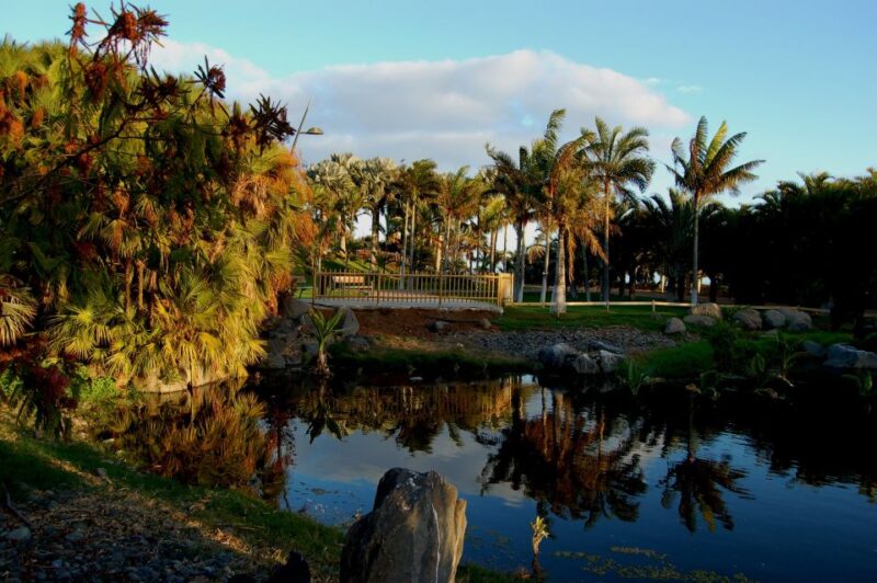 Santa Cruz De Tenerife: Palmetum Entry Ticket - Garden Location