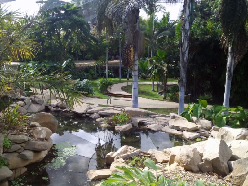Santa Cruz De Tenerife: Palmetum Entry Ticket - Customer Feedback