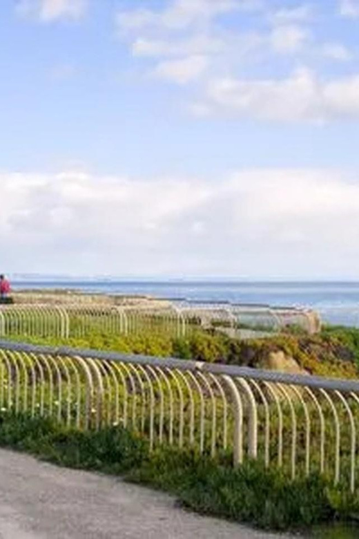 Santa Cruz: Guided Ebike Tour - Scenic Beaches and Landmarks